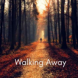 Walking Away - Tranquility Spree
