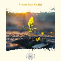 A New Life Awaits: Steps to Transformation and Renewal - Healing Sounds 432 Hz