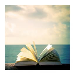 White Noise For Study - Loopable no fade - Dream Supplier