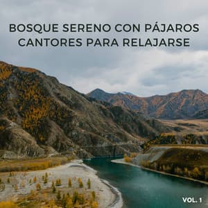 Bosque Sereno Con Pájaros Cantores Para Relajarse Vol. 1 - Pajaritos Cantando
