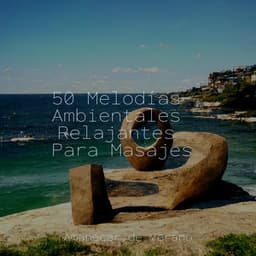 50 Melodías Ambientales Relajantes Para Masajes - Canciones Infantiles de Niños