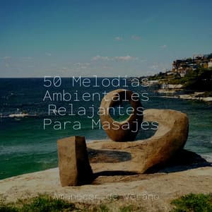 50 Melodías Ambientales Relajantes Para Masajes - Canciones Infantiles de Niños