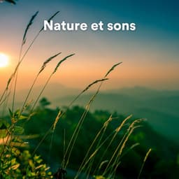 Nature et sons - Sons de la nature