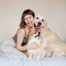 Jazz Violin - Ambiance for Perfect Puppies - Dog Anxiety Music