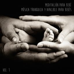 Meditación para Bebé, Vol. 1 - Musica para Bebes Specialistas