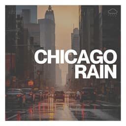 Chicago Rain - The Nature Soundscapes