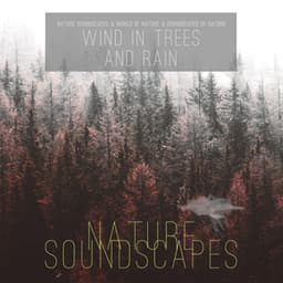 Wind in Trees and Rain - Nature Soundscapes
