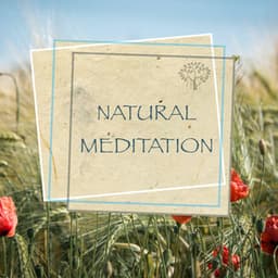 Natural Meditation - Relaxing Spirit