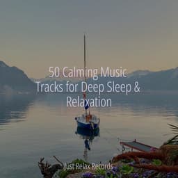 50 Calming Music Tracks for Deep Sleep & Relaxation - Musica romantica instrumental