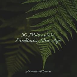 50 Música De Meditación New Age - Música Instrumental Maestro