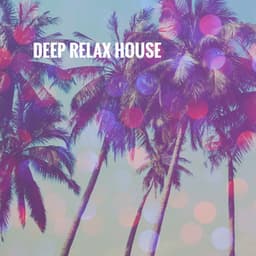 Deep Relax House - Dance Hits 2014