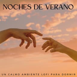Noches De Verano: Un Calmo Ambiente Lofi Para Dormir - Lofi Dormir