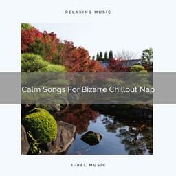 Calm Songs For Bizarre Chillout Nap - Organic Nature Sounds