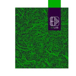 Tonos Relajantes - 8D Lab - Música Relajante