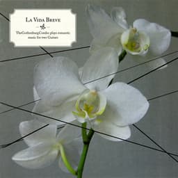 La Vida Breve - The Gothenburg Combo