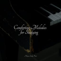 Comforting Melodies for Studying - Exam Study Classical Music Orchestra