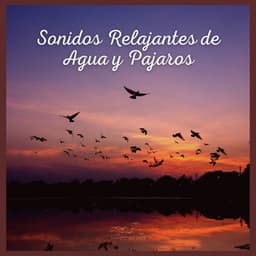 Sonidos Relajantes de Agua y Pajaros - Sonidos De Aves