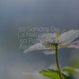 50 Sonidos De La Naturaleza - 50 Pistas Para Aliviar El Estrés - Mantra para Meditar