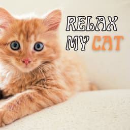 Relax My Cat: Soothing Music for Cats and Pets at Home Alone, Pet & Dog Relaxation - Pet Therapy