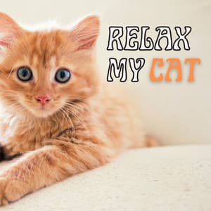 Relax My Cat: Soothing Music for Cats and Pets at Home Alone, Pet & Dog Relaxation - Pet Therapy