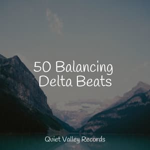 50 Balancing Delta Beats - Sounds Of Rain & Thunder Storms