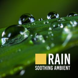 Rain Soothing Ambient - Healing Rain Sounds