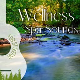 Wellness Spa Sounds - Me And My Guitar