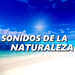 Sonidos de la Naturaleza - Sonidos de la Naturaleza Rudio Blanco Para Bebes