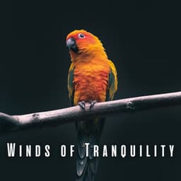 Winds of Tranquility: Birds and Heavy Rain for Relaxation Retreat - Ultimate Sounds of Nature
