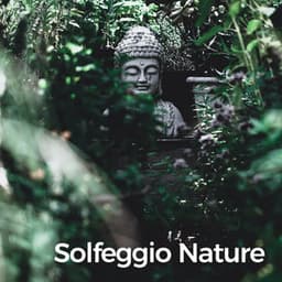 Solfeggio Nature - Solfeggio Frequency Meditation