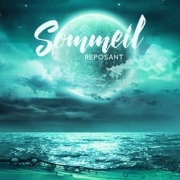 Sommeil reposant: Musique relaxante pour se détendre la nuit, Méthode de soulagement du stress, Méditation quotidienne pour esprit calme - Oasis de sommeil