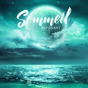 Sommeil reposant: Musique relaxante pour se détendre la nuit, Méthode de soulagement du stress, Méditation quotidienne pour esprit calme - Oasis de sommeil