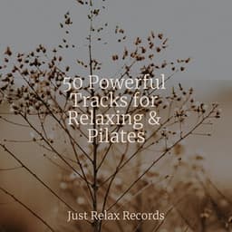 50 Powerful Tracks for Relaxing & Pilates - Chakra Balancing Sound Therapy