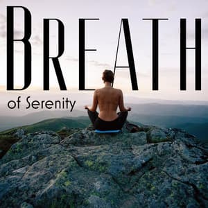Breath of Serenity: Anxiety Mindfulness Meditation Music - Deep Meditation Academy