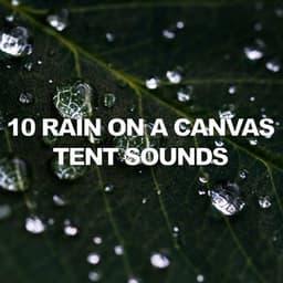 10 Rain On A Canvas Tent Sounds - Rain Recorders