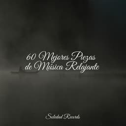 60 Mejores Piezas de Música Relajante - Piano para Relajarse