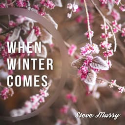 When Winter Comes - Steve Murry