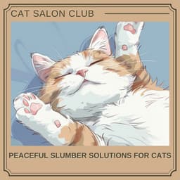 Peaceful Slumber Solutions for Cats - Cat Salon Club