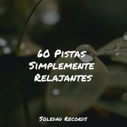 60 Pistas Simplemente Relajantes - Relajación