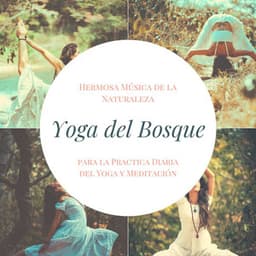 Yoga del Bosque: Hermosa Música de la Naturaleza para la Practica Diaria del Yoga y Meditación - Instancia Naturales