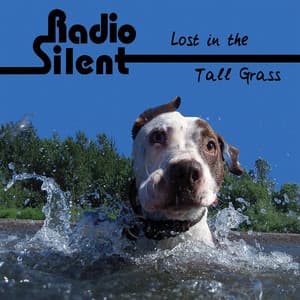 Lost in the Tall Grass - Radio Silent