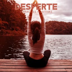 Desperte Vibrações Positivas: Atraia Apenas Coisas Boas, Comece a Pensar Positivamente, Produza Afirmações Vívidas - Academia de Meditação Buddha