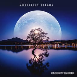 Moonlight Dreams - Sleepy Moon