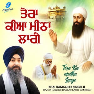 Tera Kiya Meetha Laage - Bhai Kamaljeet Singh Ji