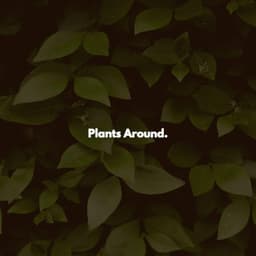 Plants Around. - Music for Stress Relief
