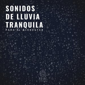 Sonidos de Lluvia Tranquila para el Bienestar - Reiki Armonía