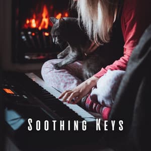 Soothing Keys: Piano Melodies for Cats' Bliss - Piano Cat