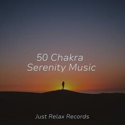 50 Chakra Serenity Music - Binaural Beats Brainwave Entrainment