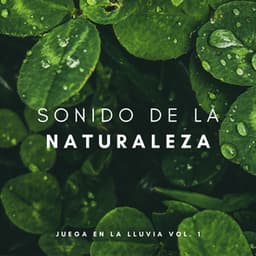 Sonido De La Naturaleza: Juega En La Lluvia Vol. 1 - Sonidos Naturales del Pajaro