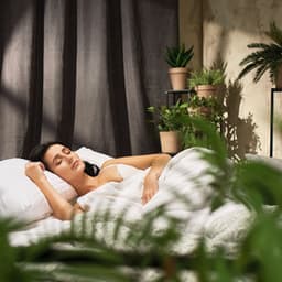 Nature's Sleepy River: Dreaming in the Forest - Nature Calm